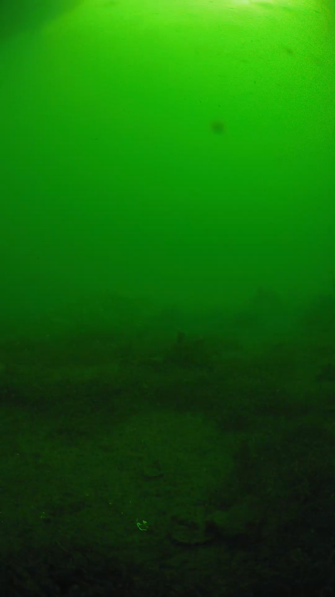 lander_ipcam_20250606081619.png