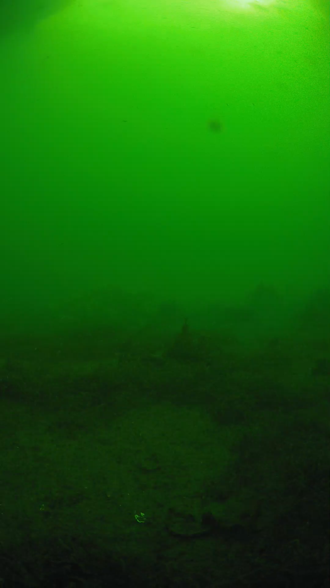 lander_ipcam_20250606081621.png