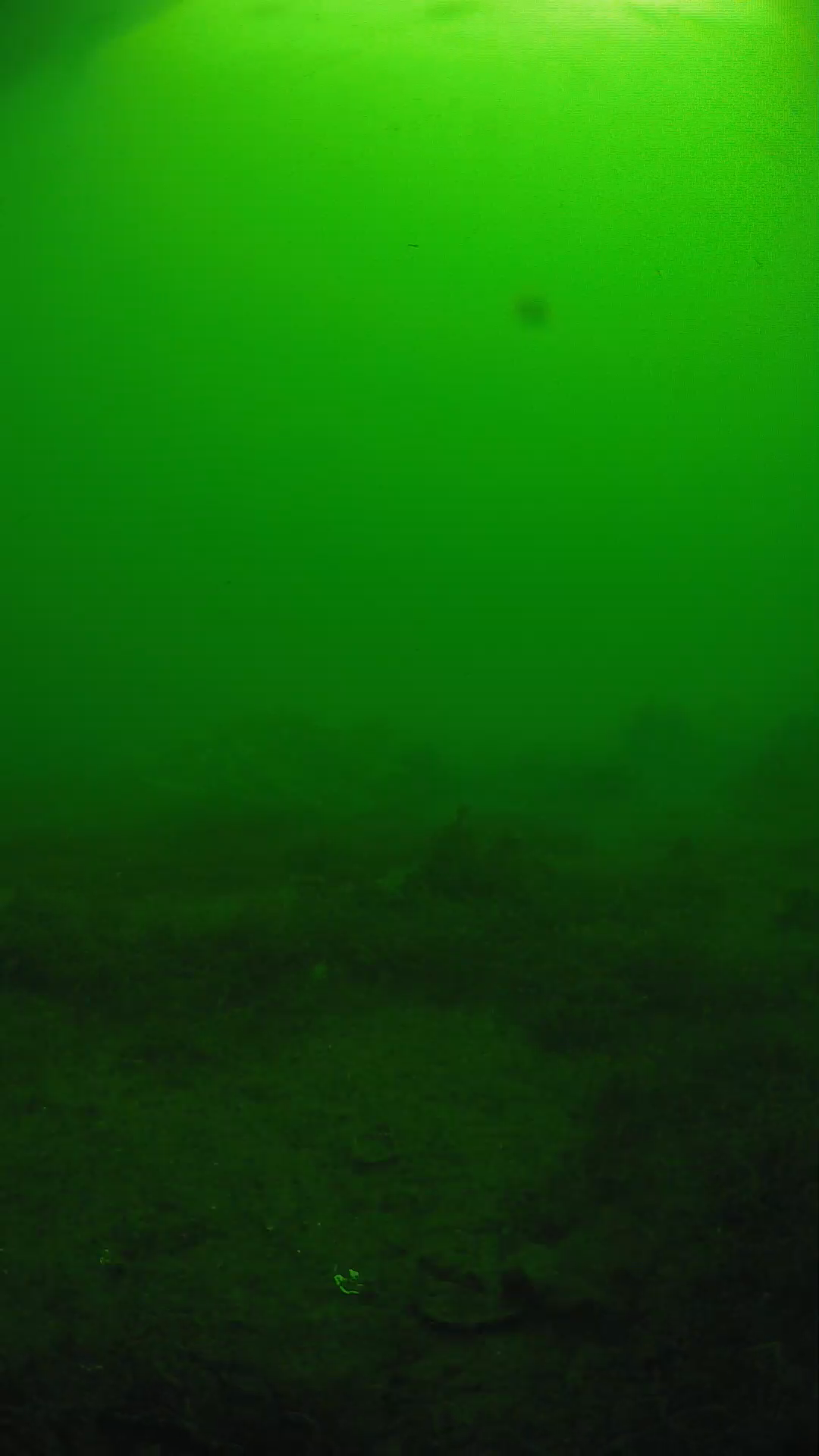 lander_ipcam_20250606081623.png