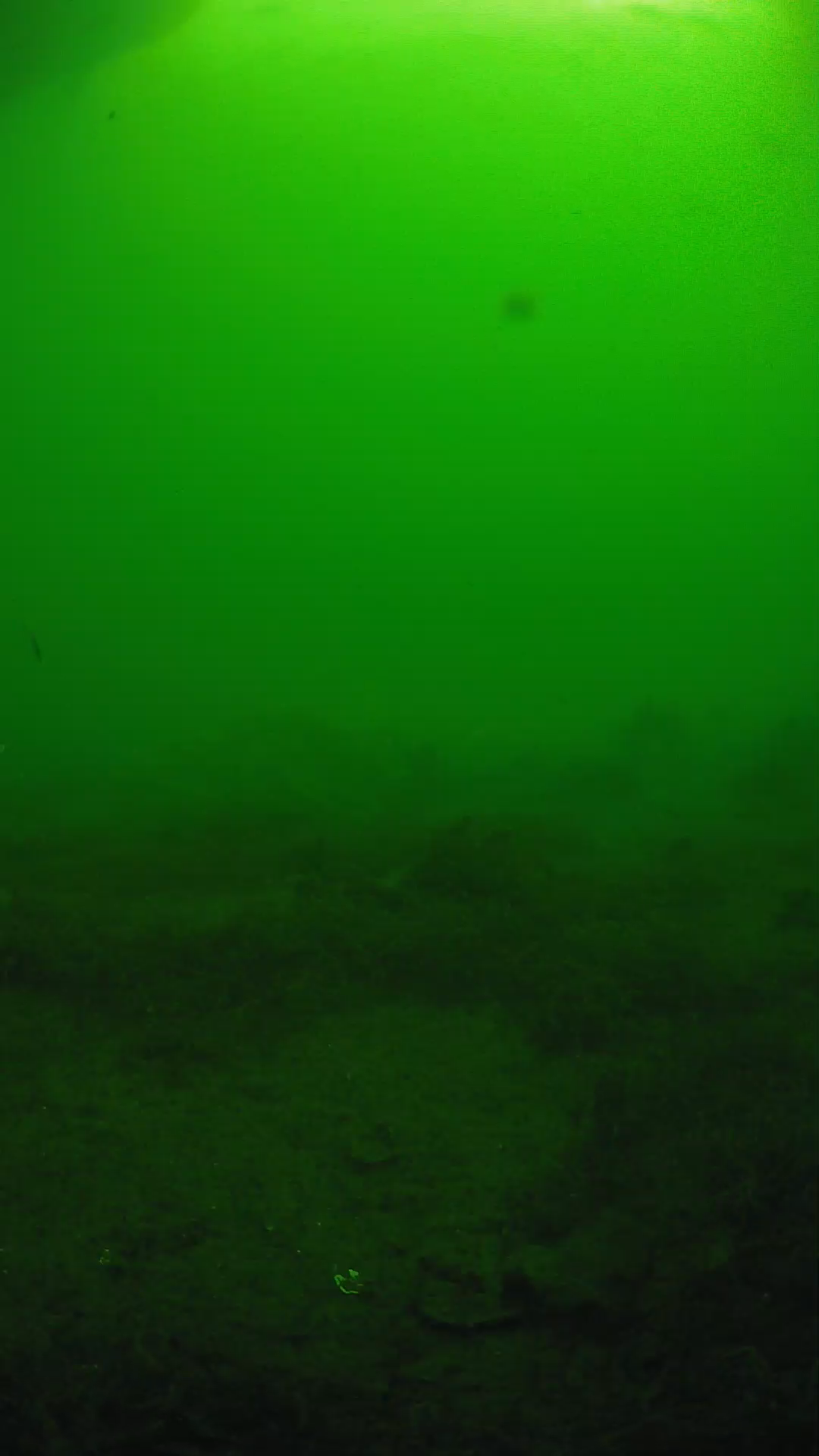 lander_ipcam_20250606081628.png