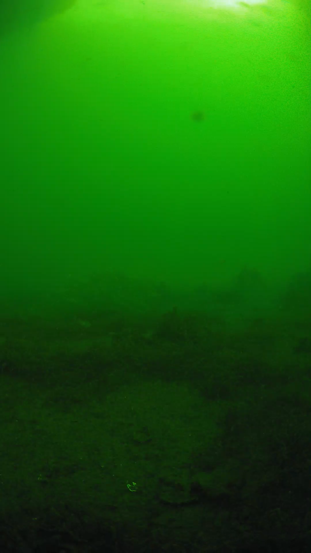 lander_ipcam_20250606081634.png