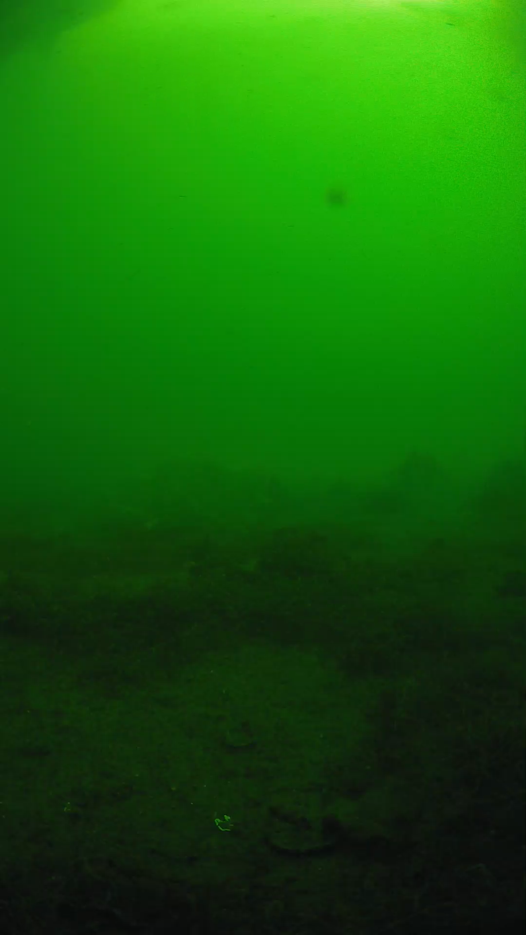 lander_ipcam_20250606081641.png