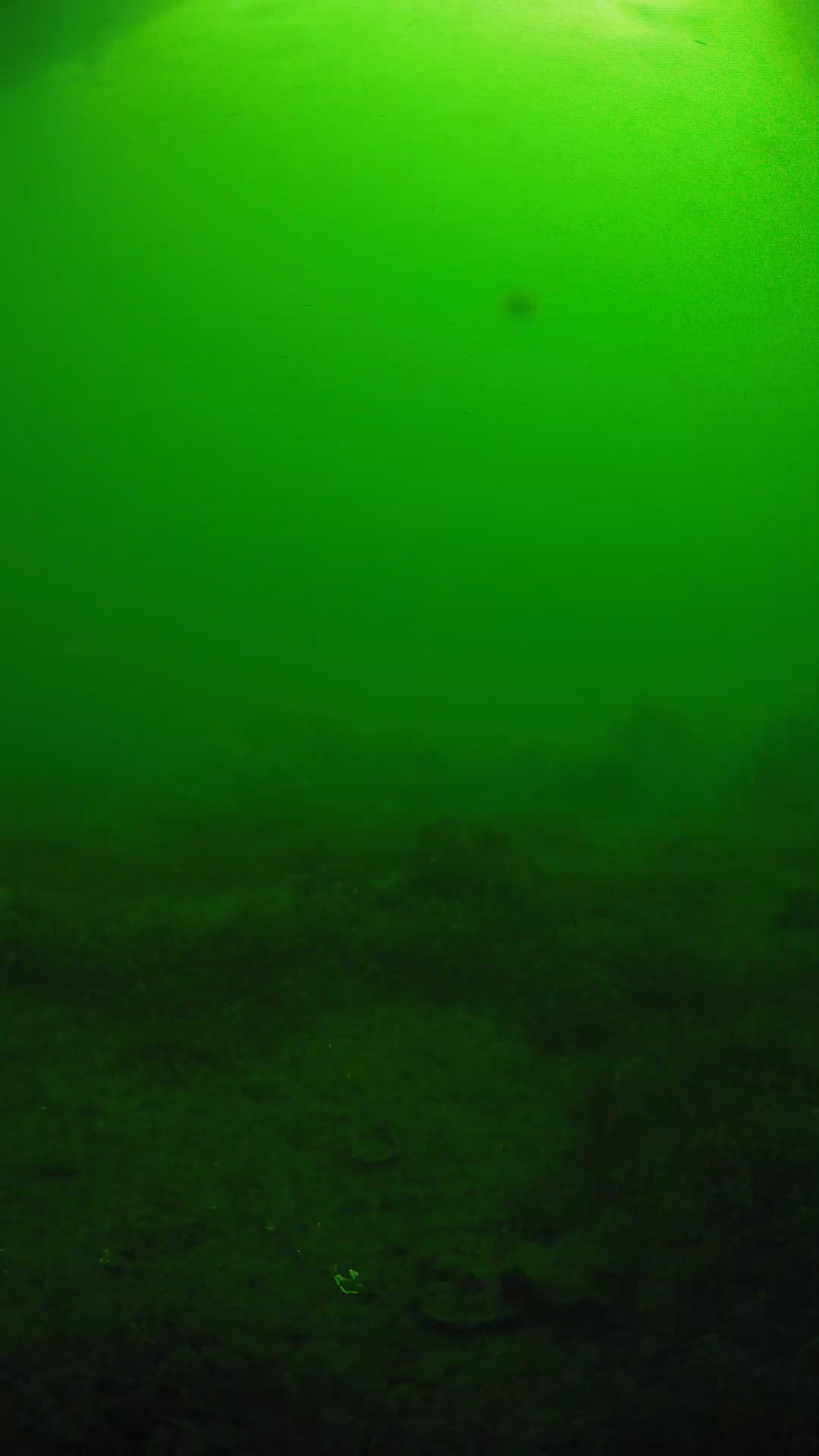 lander_ipcam_20250606081642.png