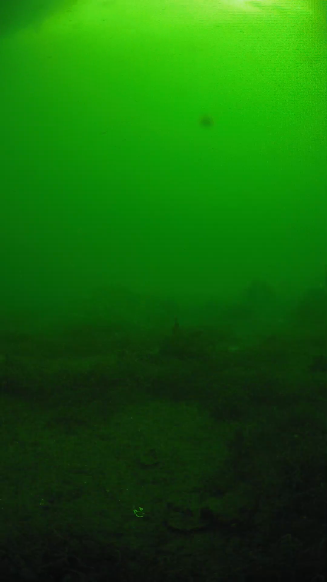 lander_ipcam_20250606081647.png
