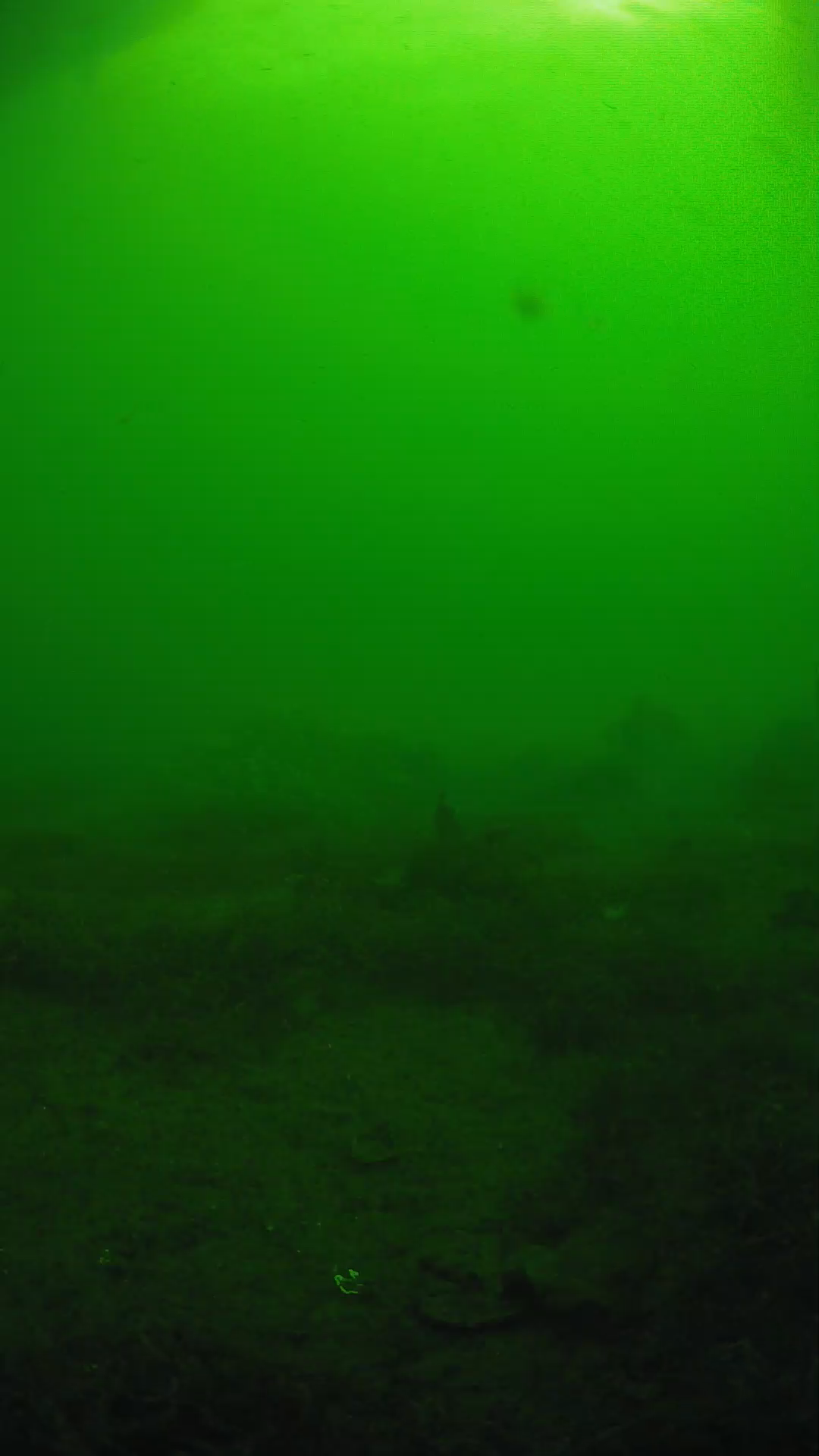 lander_ipcam_20250606081648.png