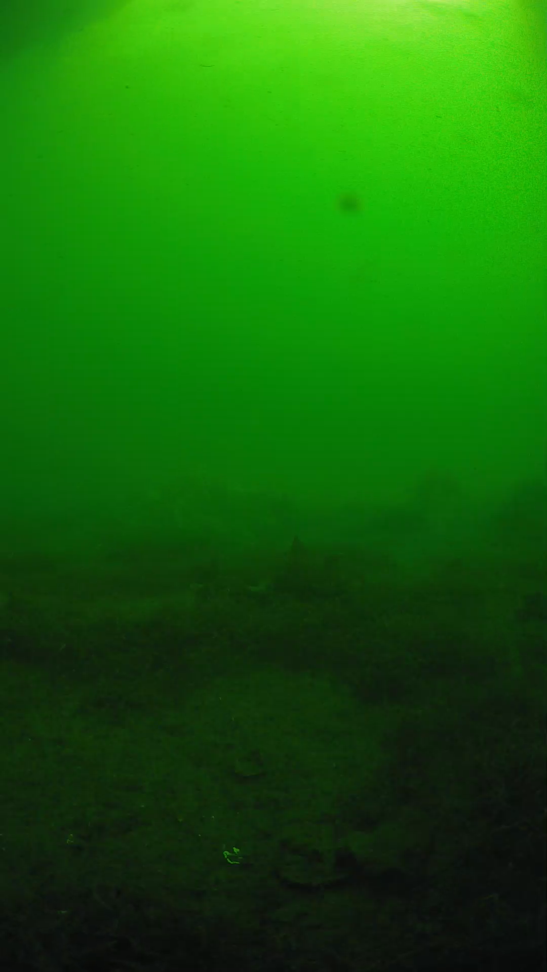 lander_ipcam_20250606081651.png
