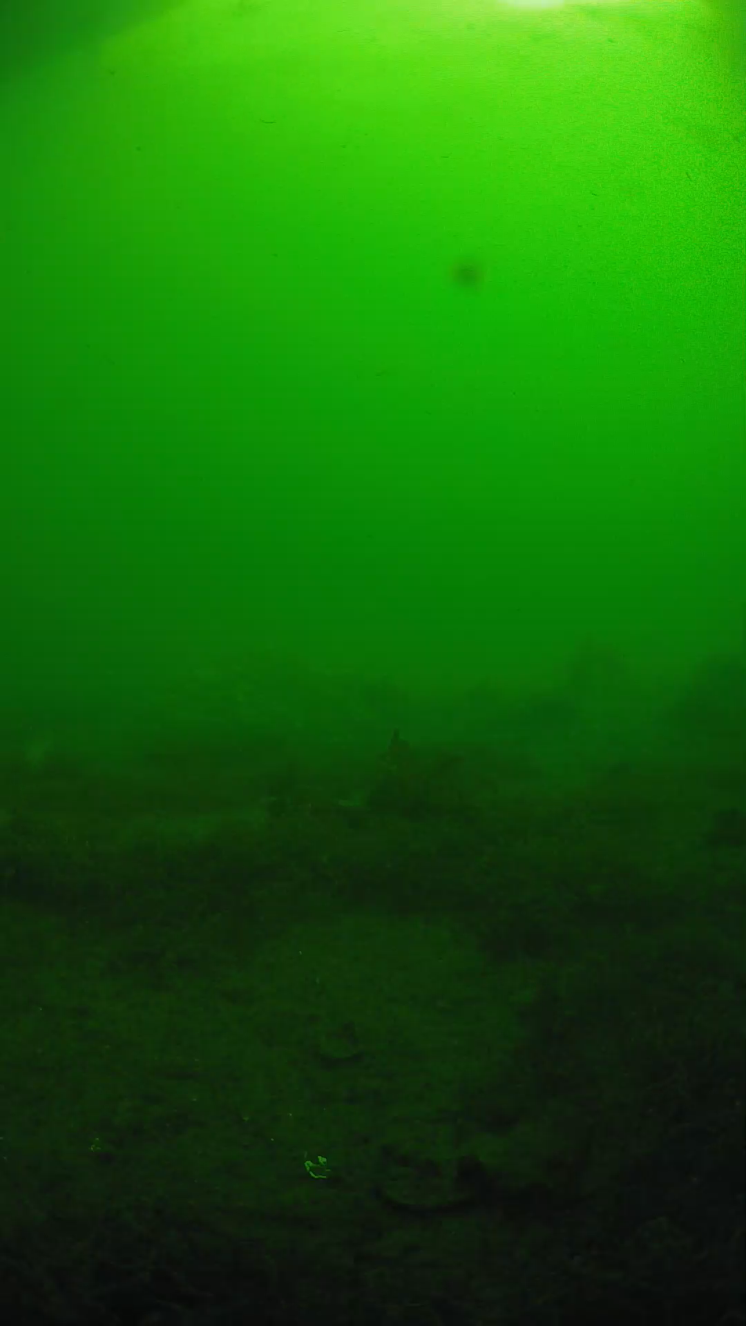 lander_ipcam_20250606081653.png