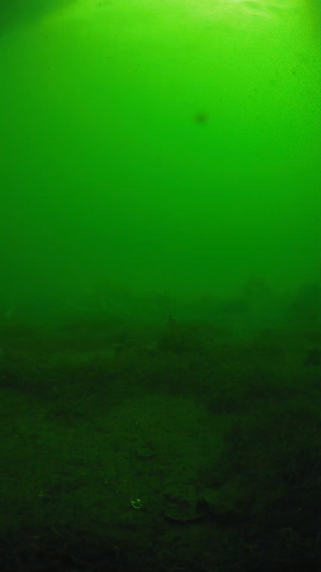 lander_ipcam_20250606081654.png
