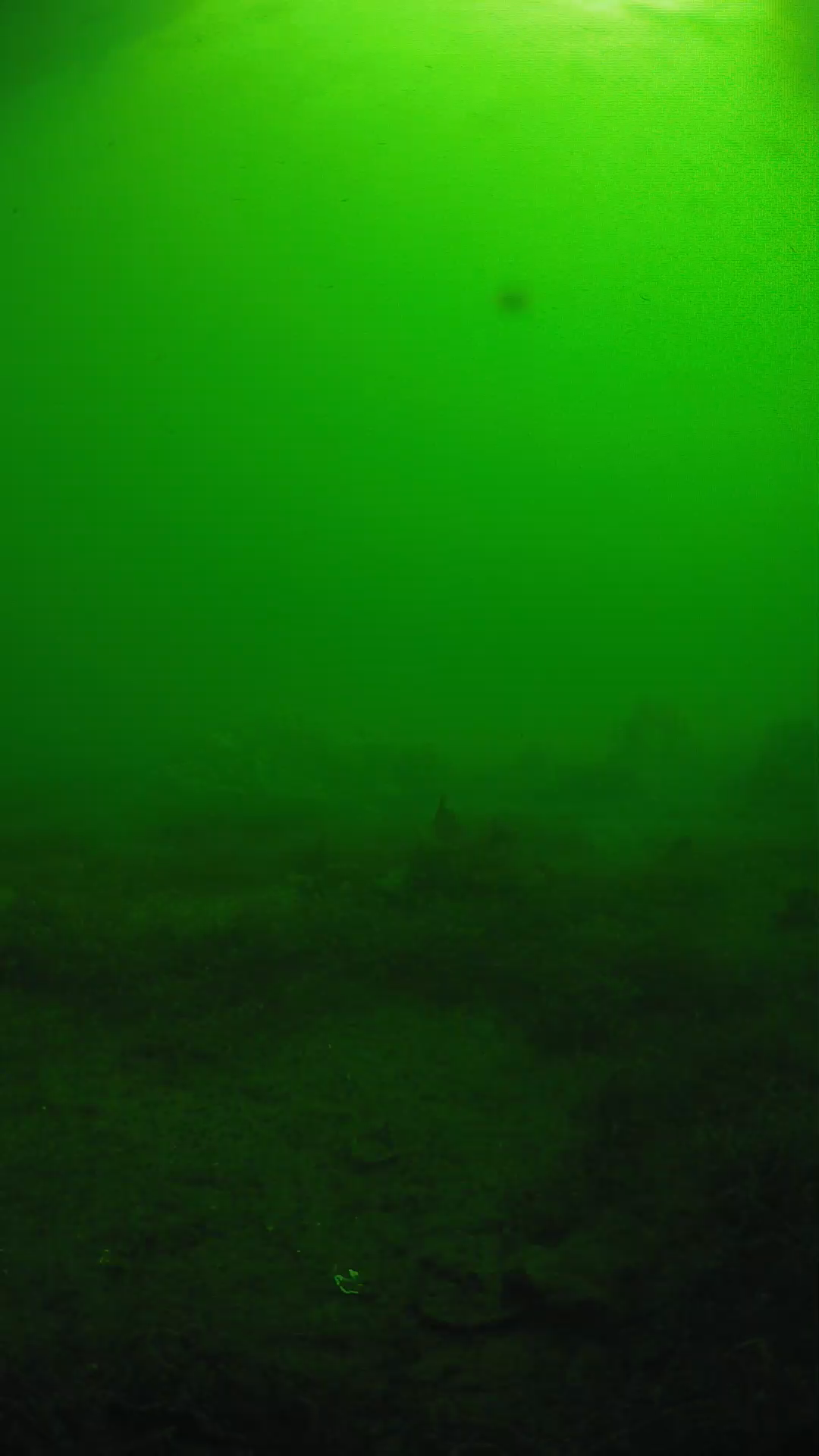 lander_ipcam_20250606081658.png