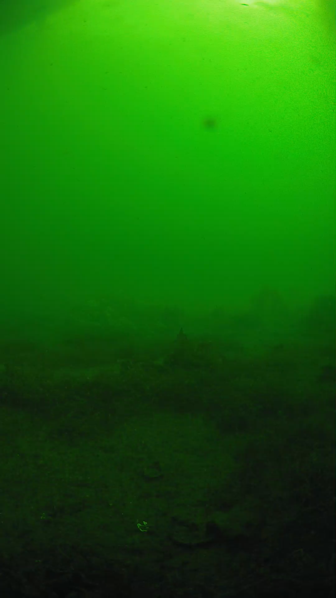lander_ipcam_20250606081659.png